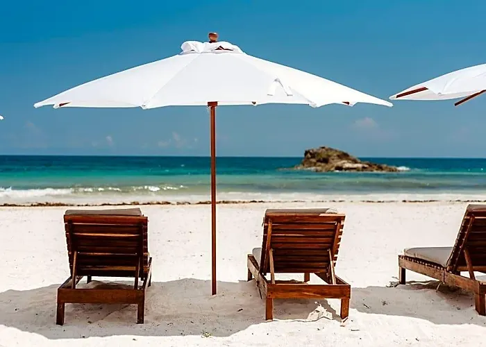 Akkuun Adults Only 3*